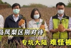 美国卫生部最新官员爆料,揭秘疫情背后的惊人真相