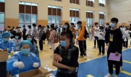 阳西新圩最新爆料信息,揭秘新圩发展新动向与未来蓝图