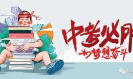 兴化百姓爆料最新消息视频,最新视频揭露惊人真相