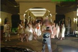 party最新爆料,深度解析重大事件背后真相