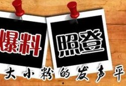 重庆李先生最新爆料,揭秘XX事件背后惊人真相